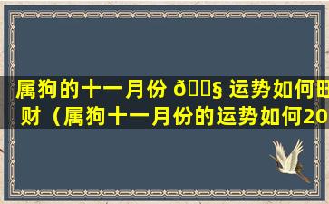 属狗的十一月份 🐧 运势如何旺财（属狗十一月份的运势如何2021）